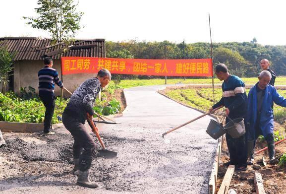 柏杨村委会最新项目，乡村振兴典范引领之路