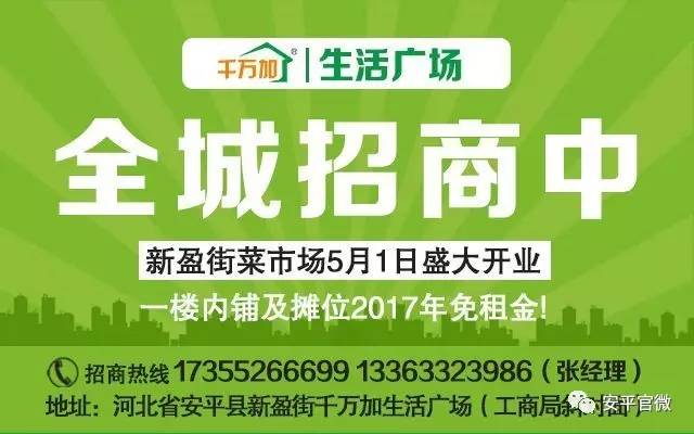 莲都区人力资源和社会保障局最新招聘概览