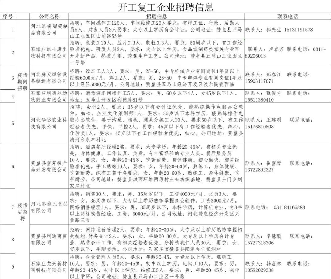 董堡最新招聘信息详解