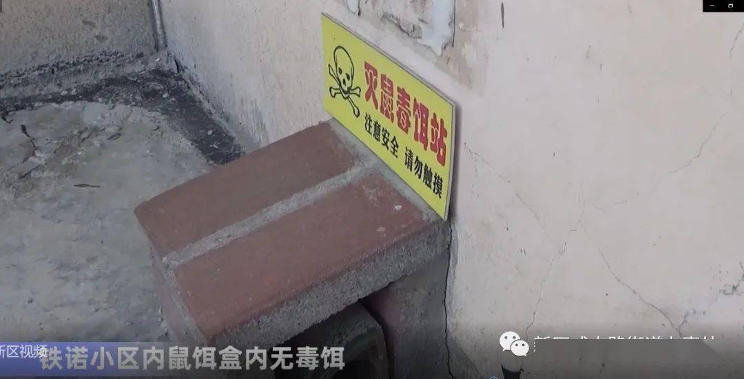 当阳市公路运输管理事业单位最新项目概览及进展动态