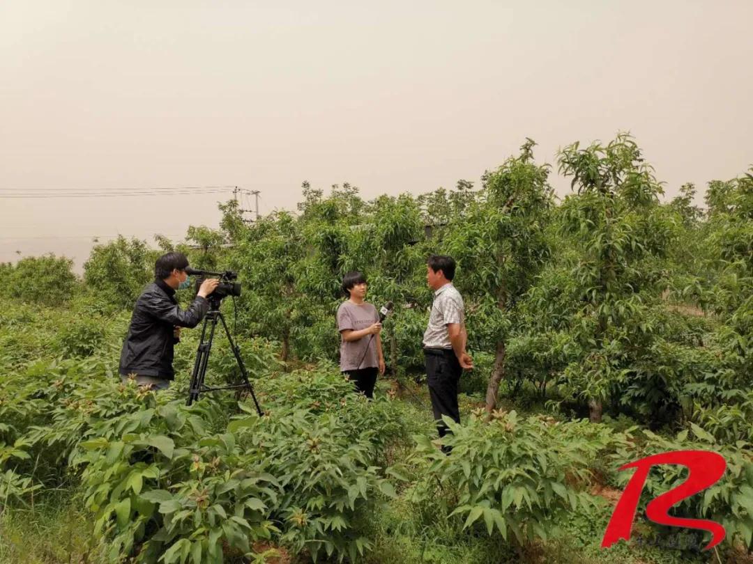 南甸镇最新项目，地区发展的强大引擎驱动力