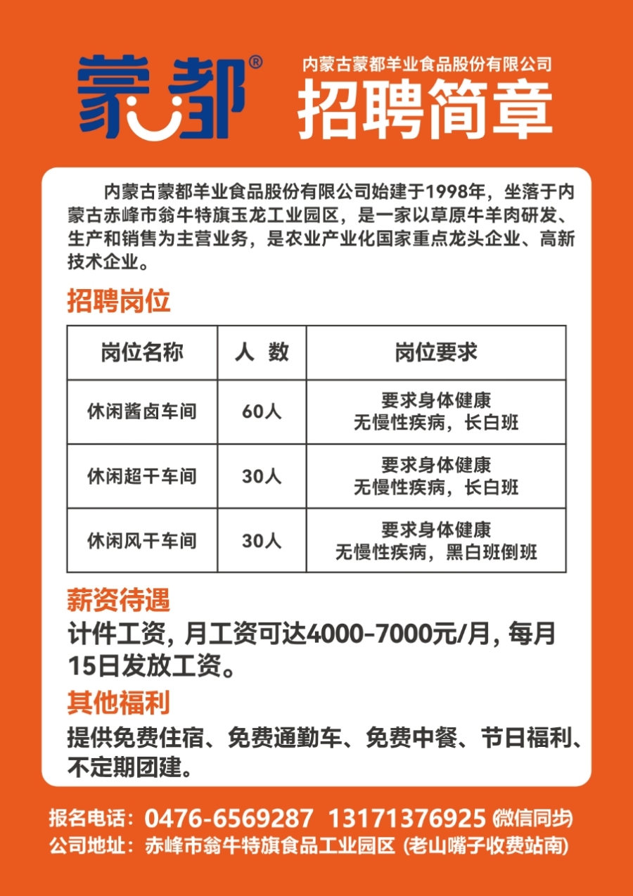 绥芬河市教育局最新招聘信息公开详解