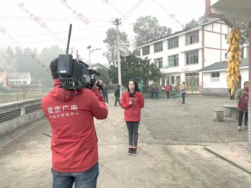 南川区文旅融合项目推动地方经济发展新动力