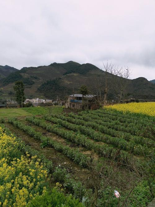 碧山镇天气预报更新通知