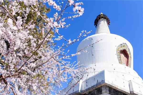 白塔天气预报更新及未来气象展望