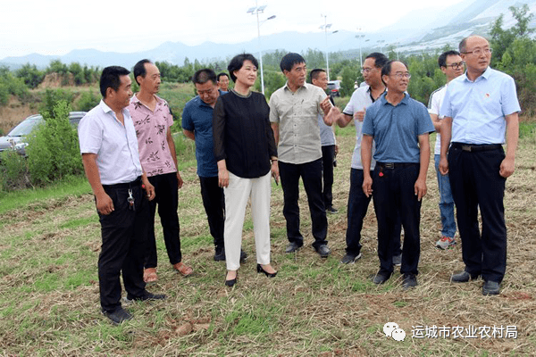 宝安区农业农村局领导团队全新亮相，工作展望与期待