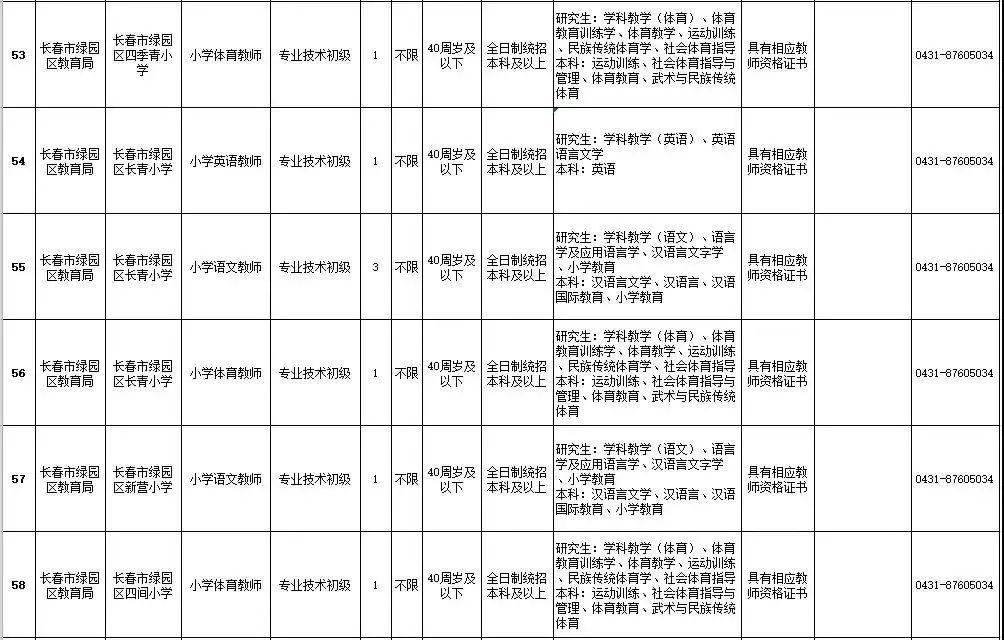 绿园区发展和改革局最新招聘启事概览